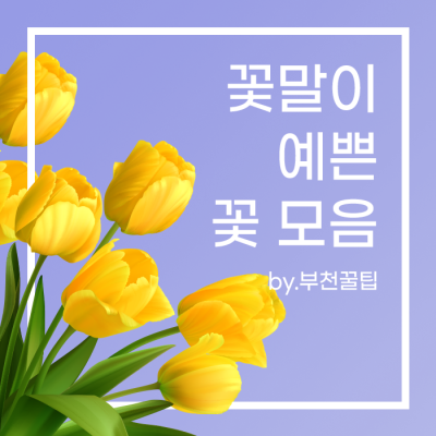 의미를 알고보면 더 예뻐! 꽃말이 예쁜 꽃 모음 : 네이버 포스트