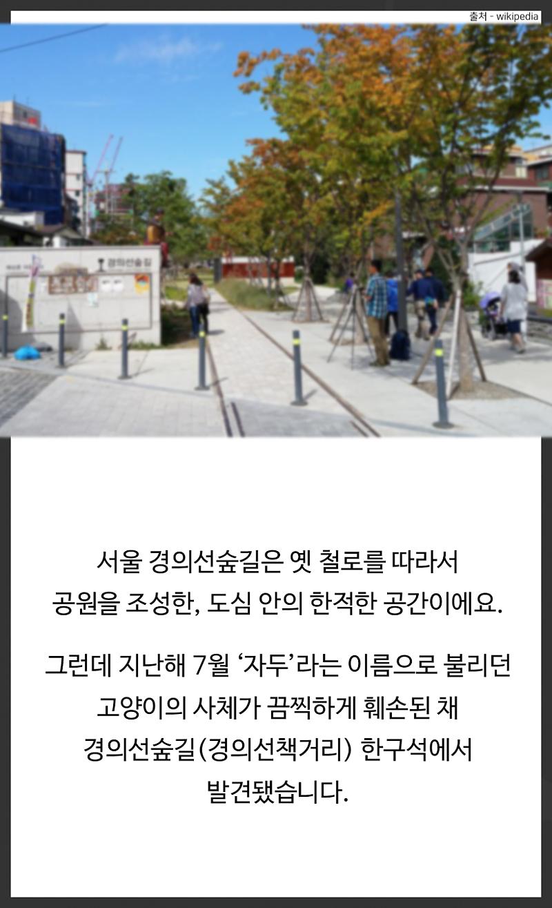 당신이 동물 학대를 해선 안 되는 이유 : 네이버 포스트