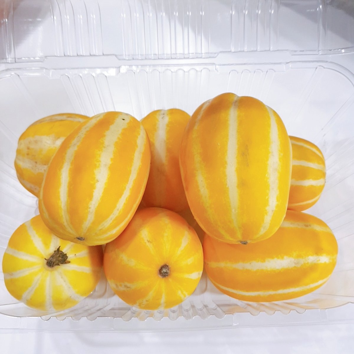 강아지 참외 먹어도 될까 참외씨는 위험해요 : 네이버 포스트