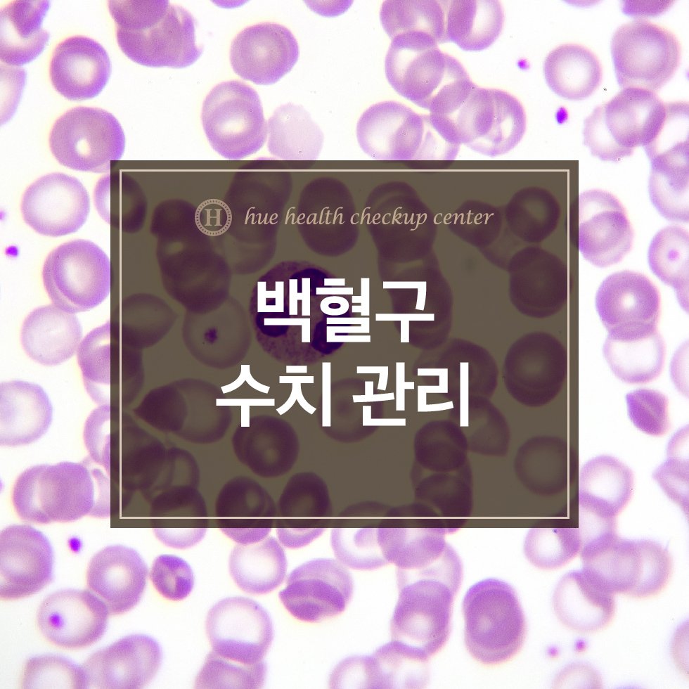백혈구 수치 관리 알아보기 / 휴내과의원 : 네이버 포스트