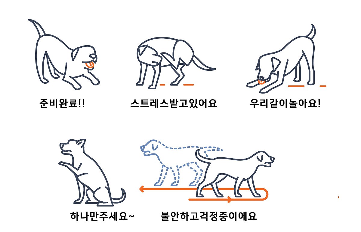 카밍시그널! 강아지 몸짓으로 이해하는 강아지언어 : 네이버 포스트
