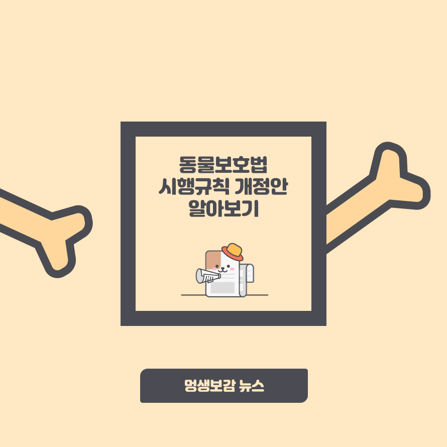 8월 21일부터 시행, 동물보호법 시행규칙 개정안 알아보기 : 네이버 포스트