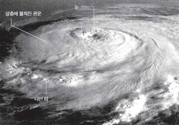지상에서 허리케인의 눈