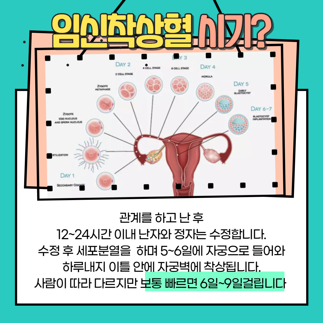 임신 착상혈 시기와 임신테스트기 사용시기는? : 네이버 포스트