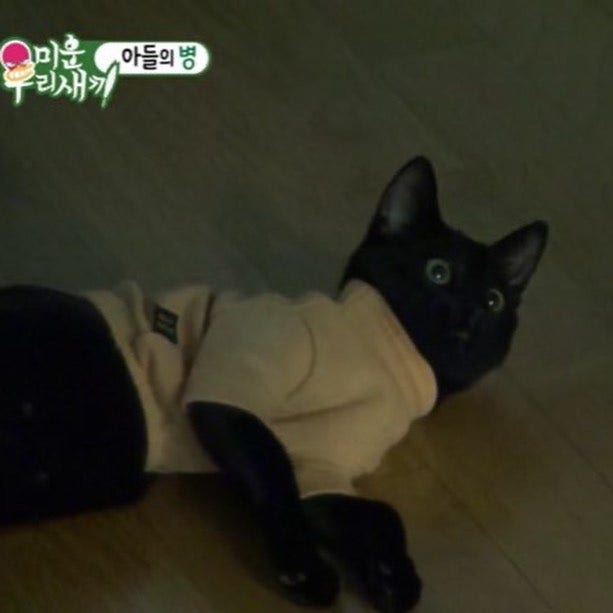 ë¯¸ìš°ìƒˆ ë°•ìˆ˜í™ì´ êµ¬ì¡°í•œ ë‚šì‹œí„° ê¸¸ëƒ¥ì´ ë‹¤í™ì´ ê·¼í™© ë„¤ì´ë²„ í¬ìŠ¤íŠ¸
