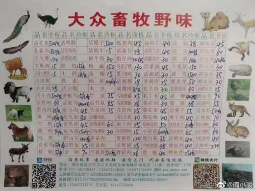 중국당국 조사결과 '야생동물 식용 거래'한 우한 화난시장서 신종코로나 대거 검출
