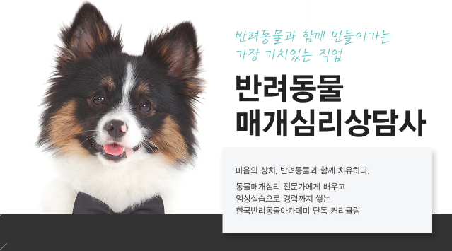 반려동물매개치료사 동물매개치료사 자격증 취업후 하는일은?? : 네이버 포스트 반려동물매개치료사 동물매개치료사 자격증 취업후 하는일은?? : 네이버 포스트