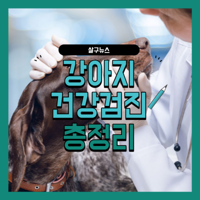 강아지 건강검진 시기 비용 총정리(+항목 건강관리 꿀팁) : 네이버 포스트