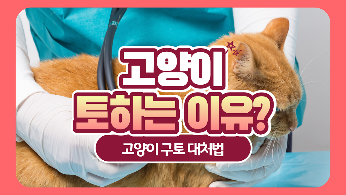고양이 토하는 이유 및 대처법은? : 네이버 포스트
