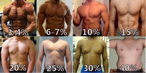 남자/여자 체지방률 평균 계산법 + 몸매비교 : 네이버 포스트