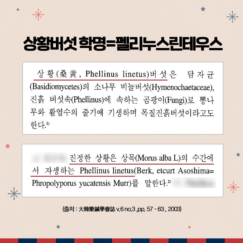 상황버섯 먹는법과 효과 6
