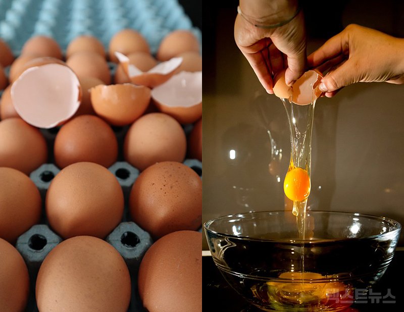 딱 1분 안에 '상한 계란' 구별하는 초간단 꿀팁 5가지 : 네이버 포스트