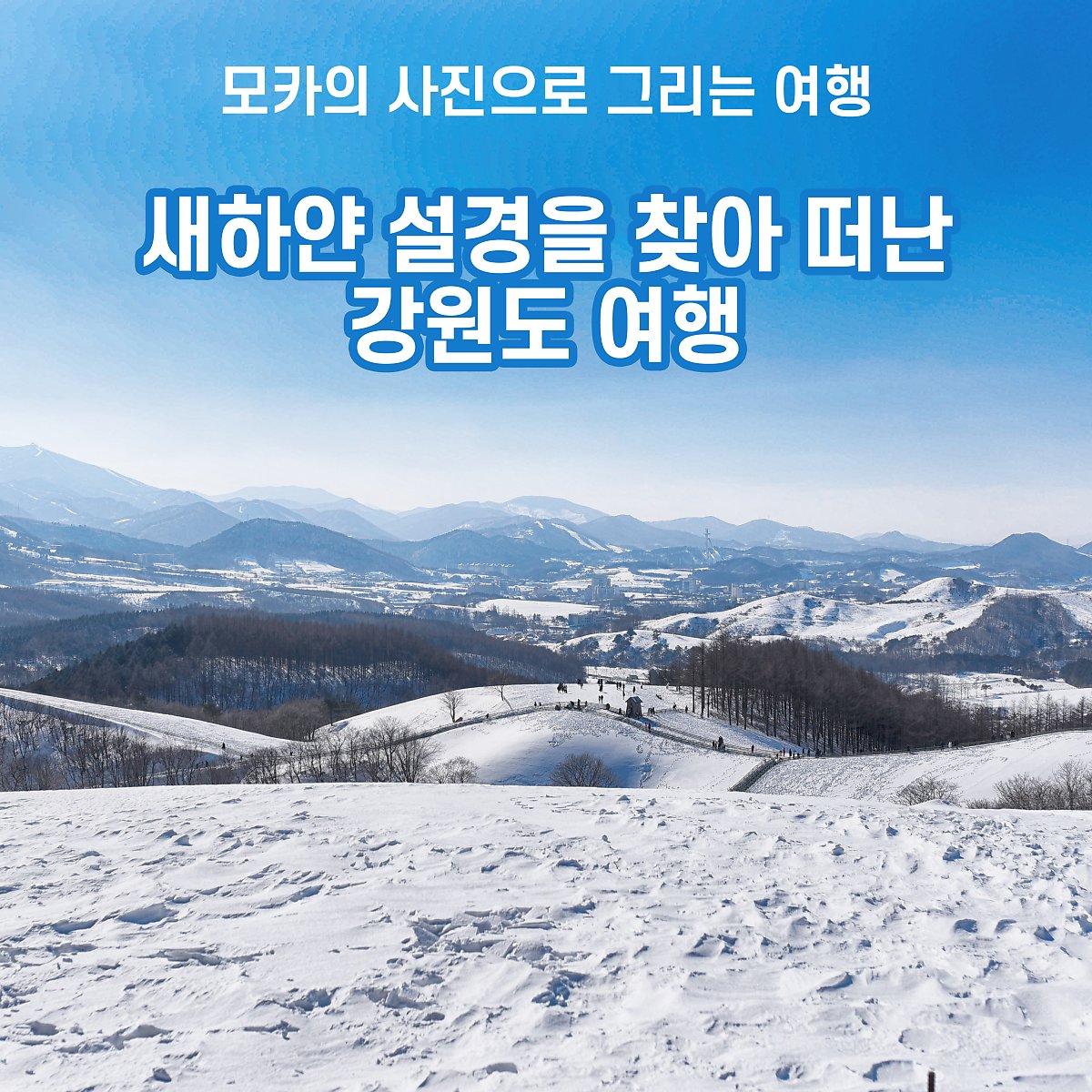 새하얀 설경을 찾아 떠난 강원도 여행 : 네이버 포스트