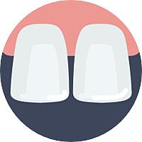 치아보험 레진님의 프로필 사진