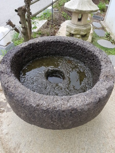금일 블로그 브리핑입니다.