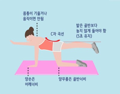 허리를 튼튼하게 만드는 ‘버드독’ 자세