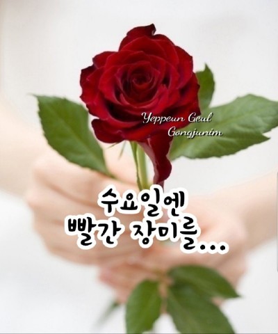 출판 트렌드 변화, 선 공개 후 출판