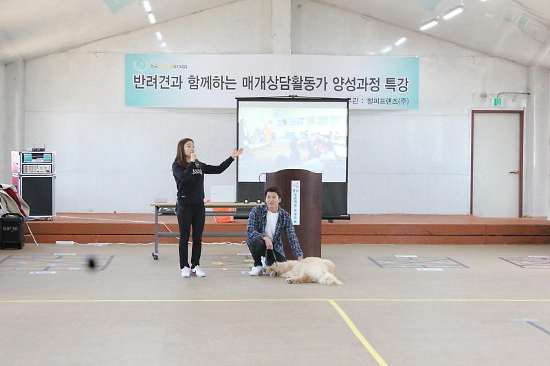 동물매개치료사 동물매개치료 - 비전공자3개월 교육 연봉 전망 : 네이버 포스트