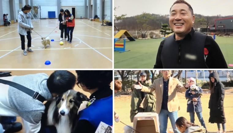 동물매개치료사 동물매개치료 - 비전공자3개월 교육 연봉 전망 : 네이버 포스트 동물매개치료사 동물매개치료 - 비전공자3개월 교육 연봉 전망 : 네이버 포스트
