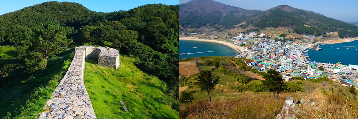 한국에서 2번째로 큰 섬에서 볼 수 있는 흔한 풍경.jpg 12 image 203009421623218944328