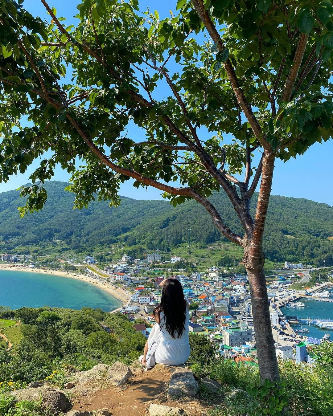 한국에서 2번째로 큰 섬에서 볼 수 있는 흔한 풍경.jpg 11 190097125 819698872285819 4969490237264203602 n