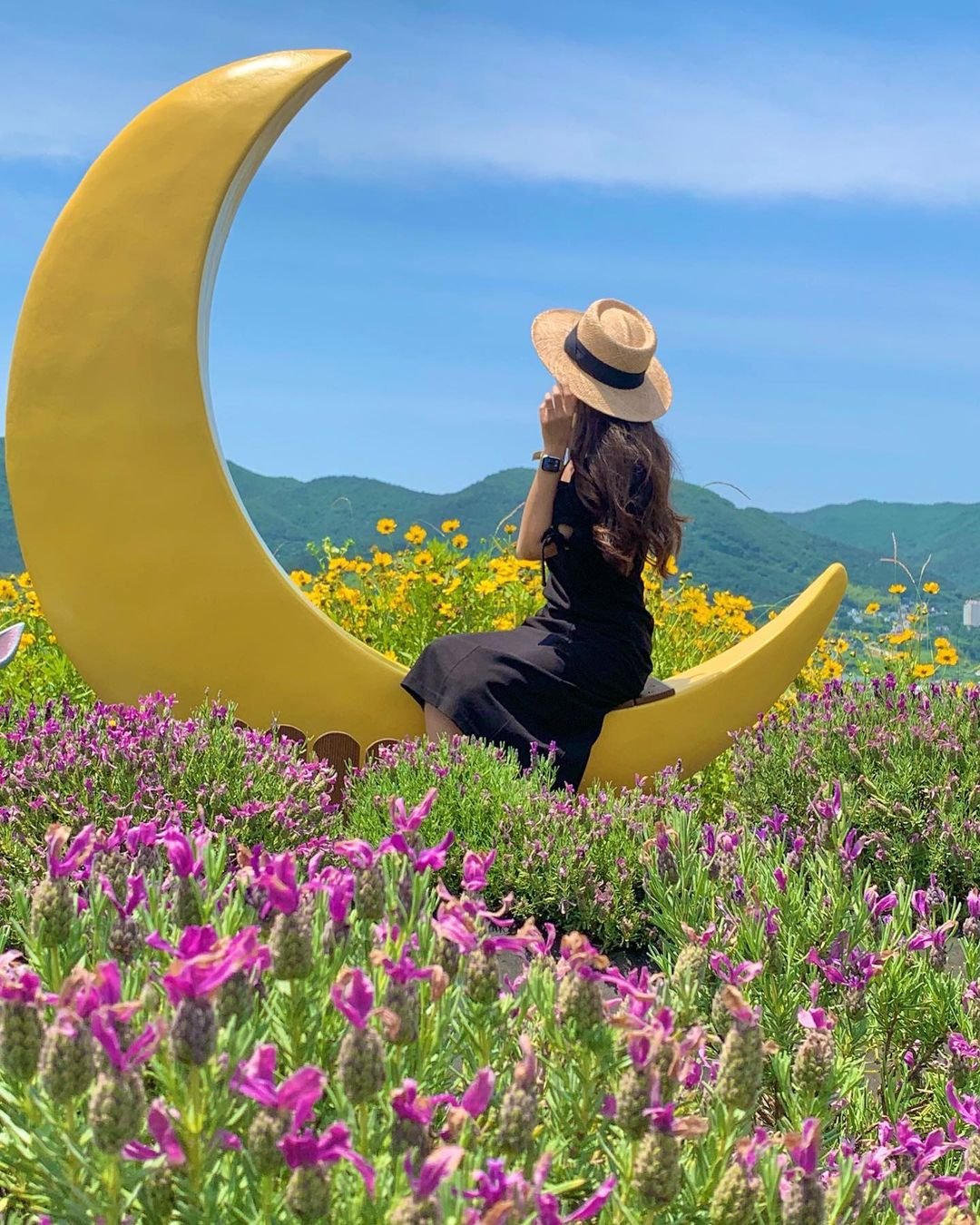 한국에서 2번째로 큰 섬에서 볼 수 있는 흔한 풍경.jpg 7 197395978 187888070004500 50934032492774164 n