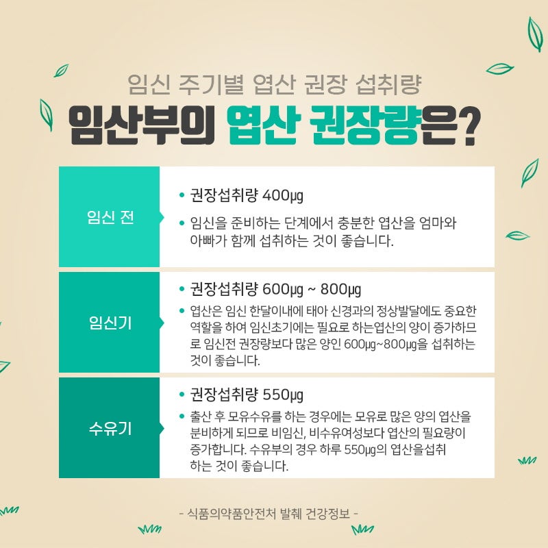 엽산효능 머터니티 보충제 리뷰
