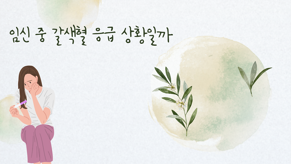 임신 갈색혈 왜 나올까 임신 안정기 언제일까 : 네이버 포스트