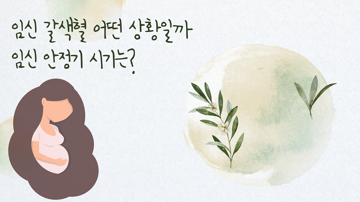 임신 갈색혈 왜 나올까 임신 안정기 언제일까 : 네이버 포스트