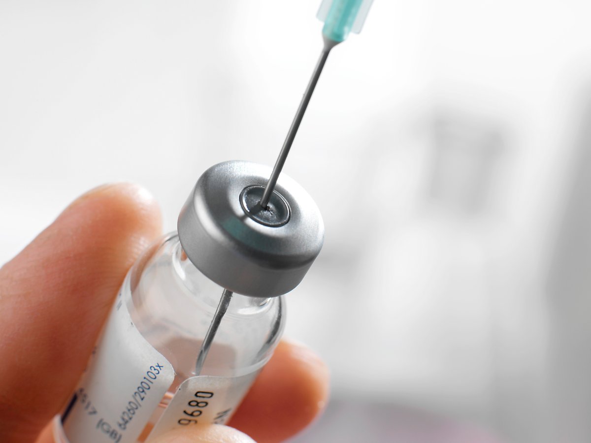 강아지 예방접종 시기와 백신 종류 : 네이버 포스트