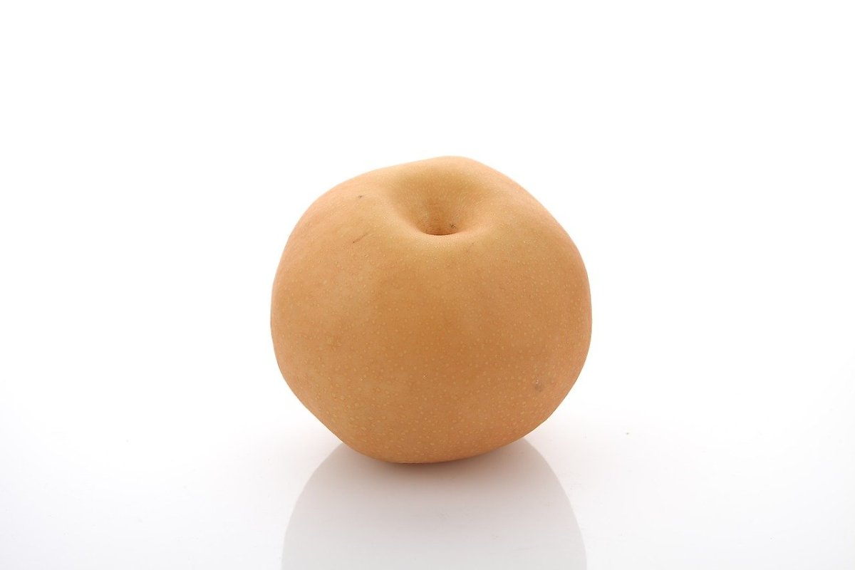 강아지 배 먹어도 되나요? 주의사항은? : 네이버 포스트