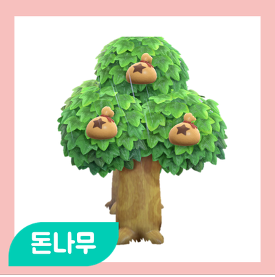 모동숲 돈나무는 실제로 있다 : 네이버 포스트 모동숲 돈나무는 실제로 있다 : 네이버 포스트