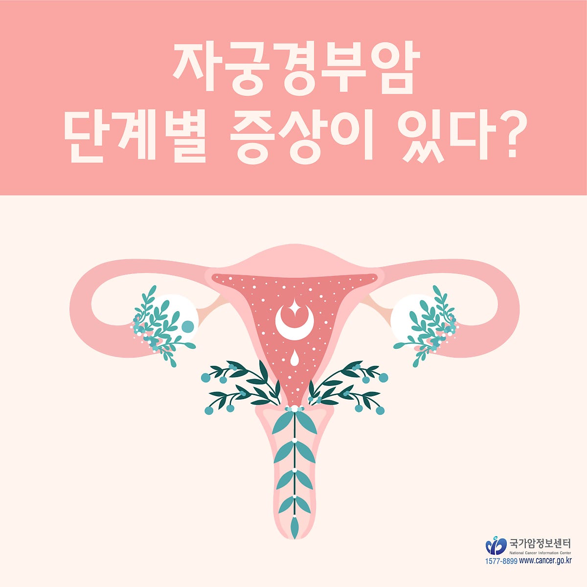 다음은 자궁경부암의 증상입니다. 9