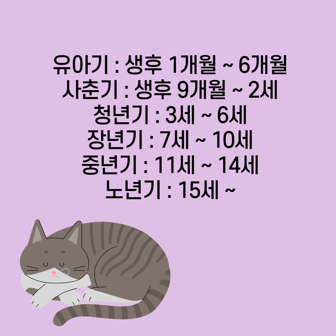 고양이 수명 강아지보다 짧을까? : 네이버 포스트