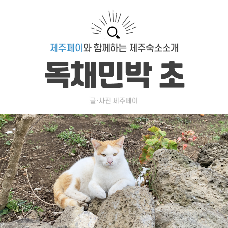 제주 성산 숙소 추천, 북스테이 독채민박 <초>