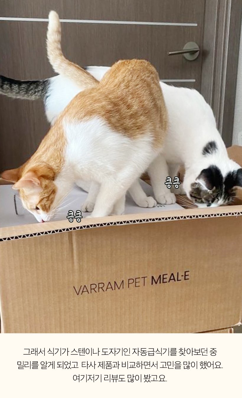 고양이 자동급식기 후기 : 네이버 포스트