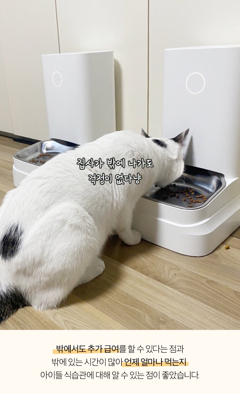 고양이 자동급식기 후기 : 네이버 포스트