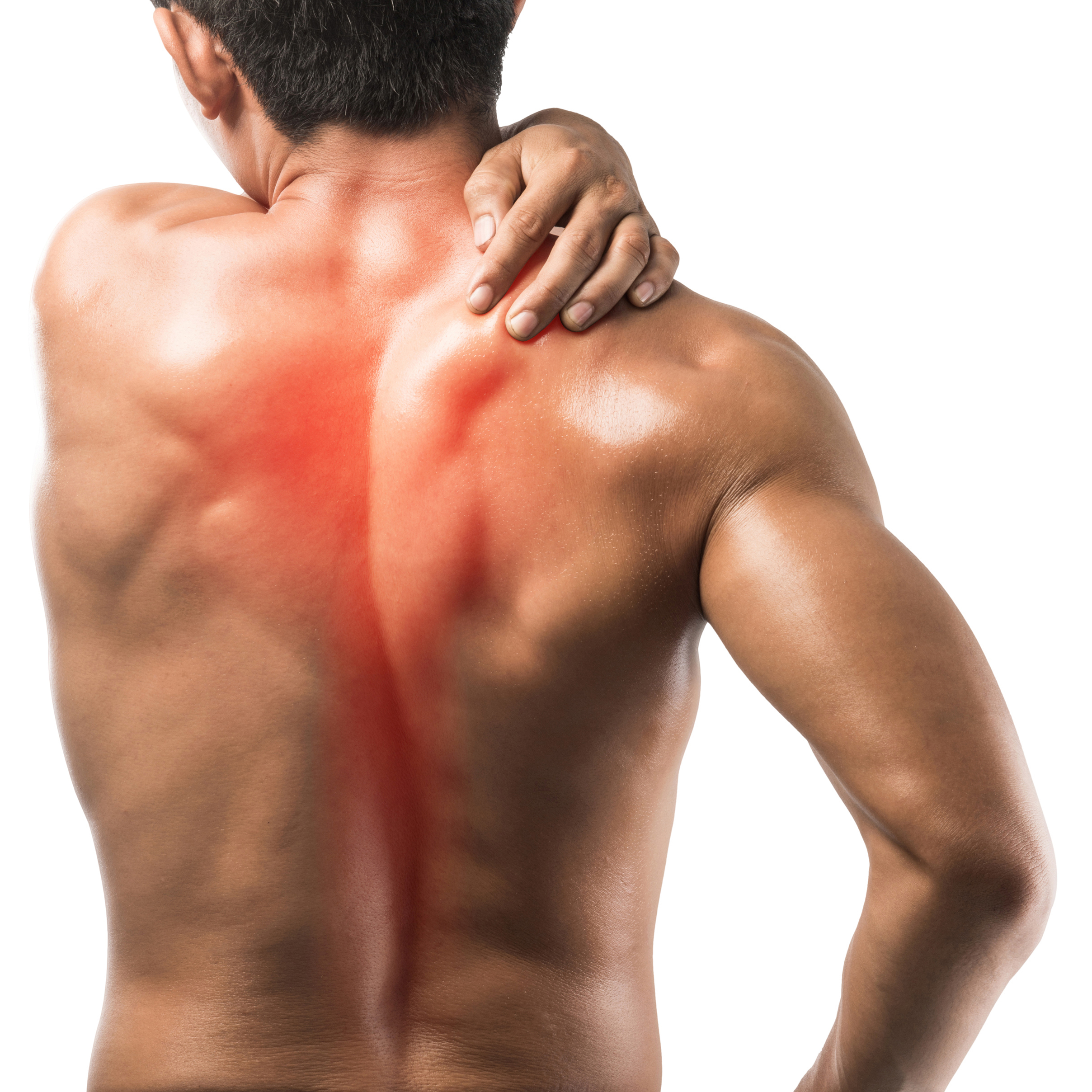 어깨 결림 통증이 재현될 때 
근육치료로 통증완화?! 될 수 있다!