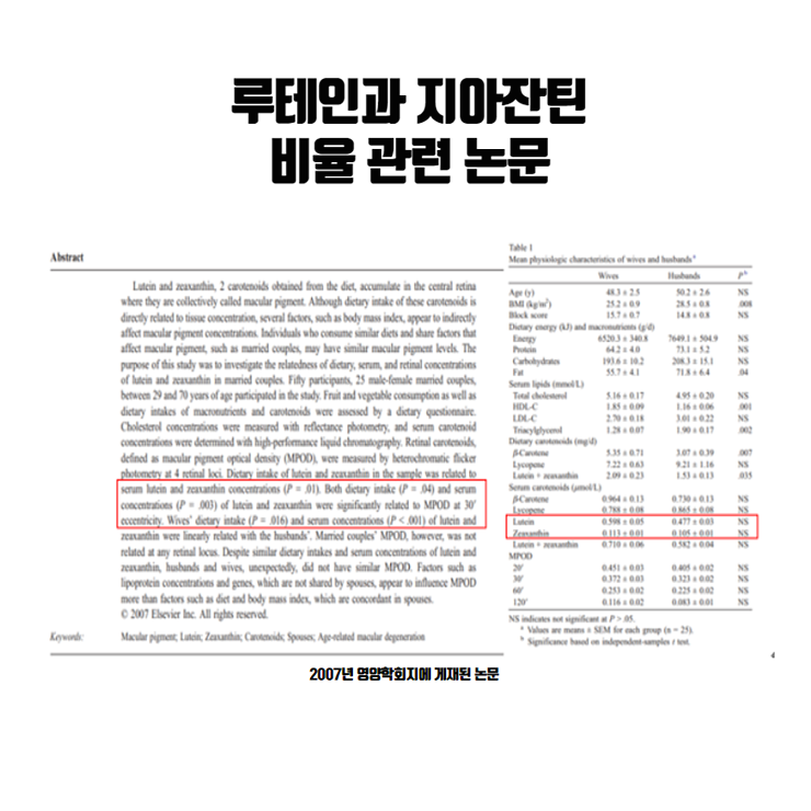 루테인디아잔틴 비율을 확인하자. 4