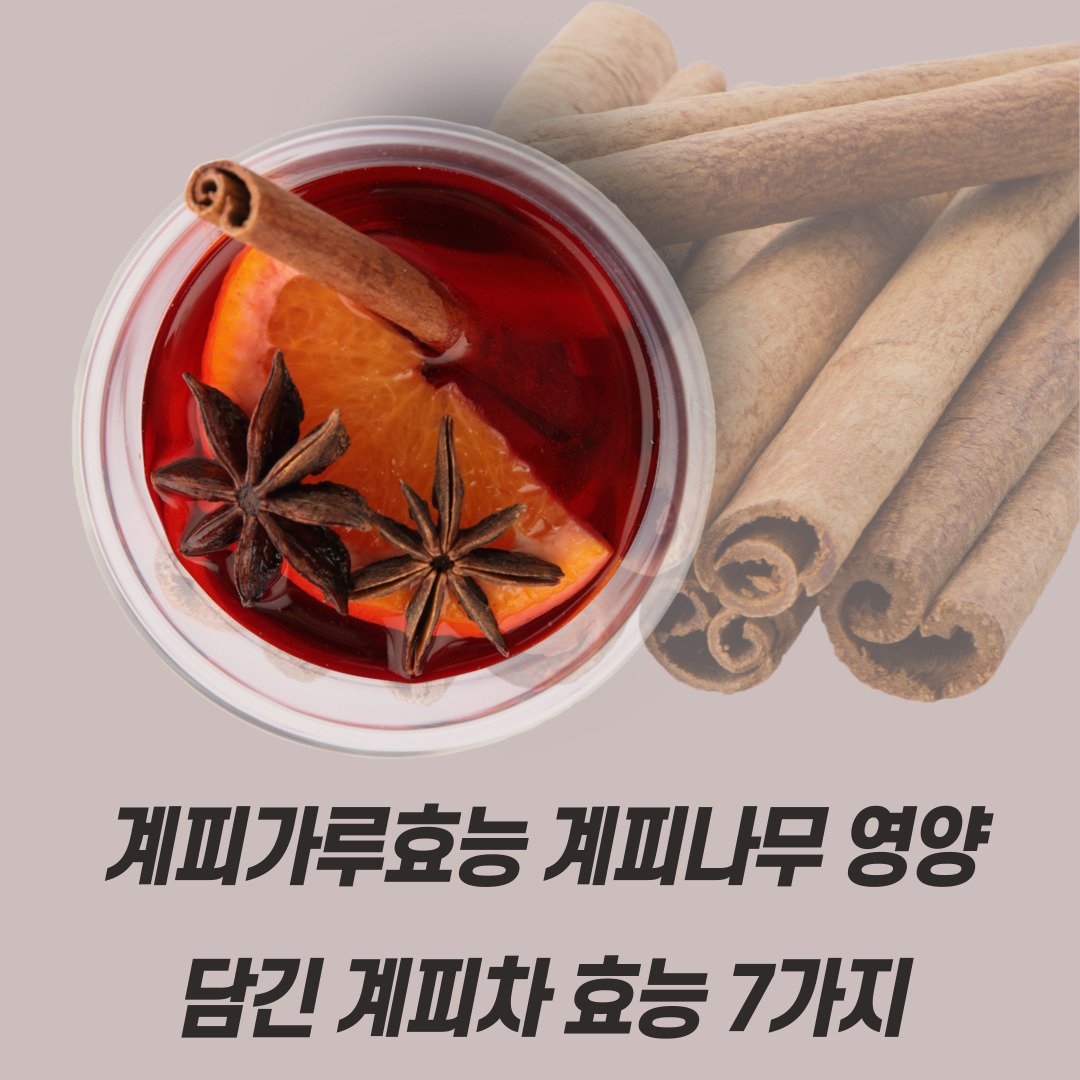 계피가루효능 계피나무 영양 담긴 계피차 효능 7가지 : 네이버 포스트