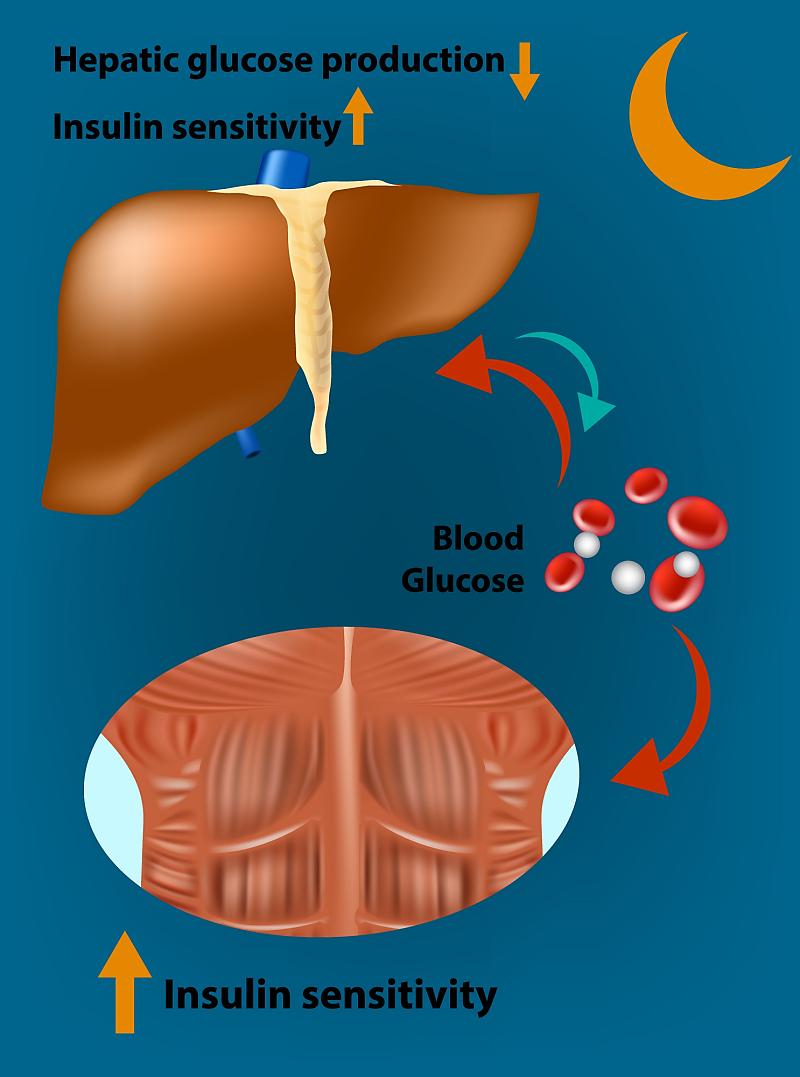공복혈당 높은 이유와 혈당정상수치로 낮추는법! : 네이버 포스트