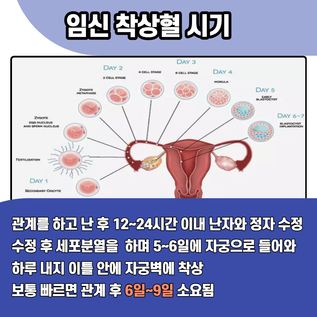 임신 착상혈 시기 :: 착상 증상 및 착상혈 생리 차이 : 네이버 포스트