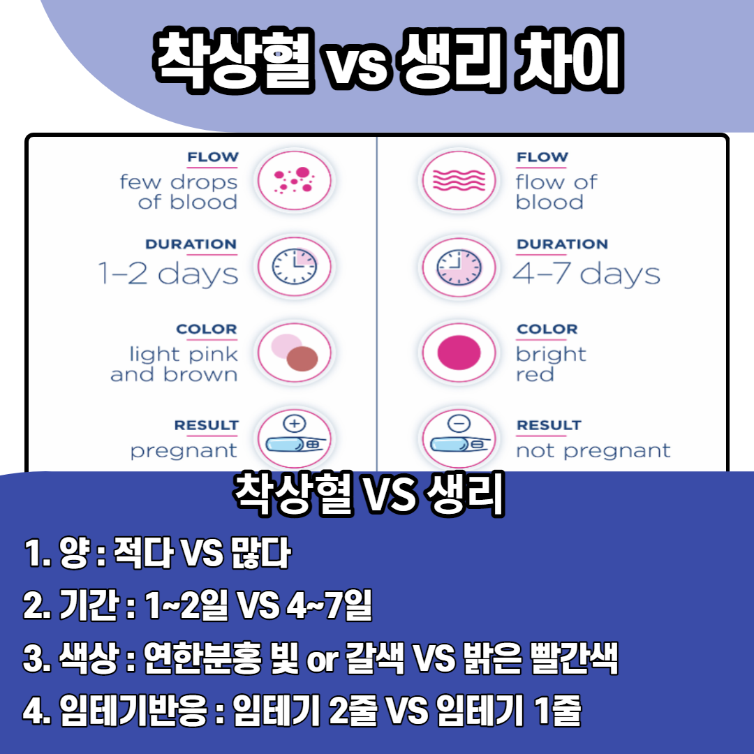 임신 착상혈 시기 :: 착상 증상 및 착상혈 생리 차이 : 네이버 포스트