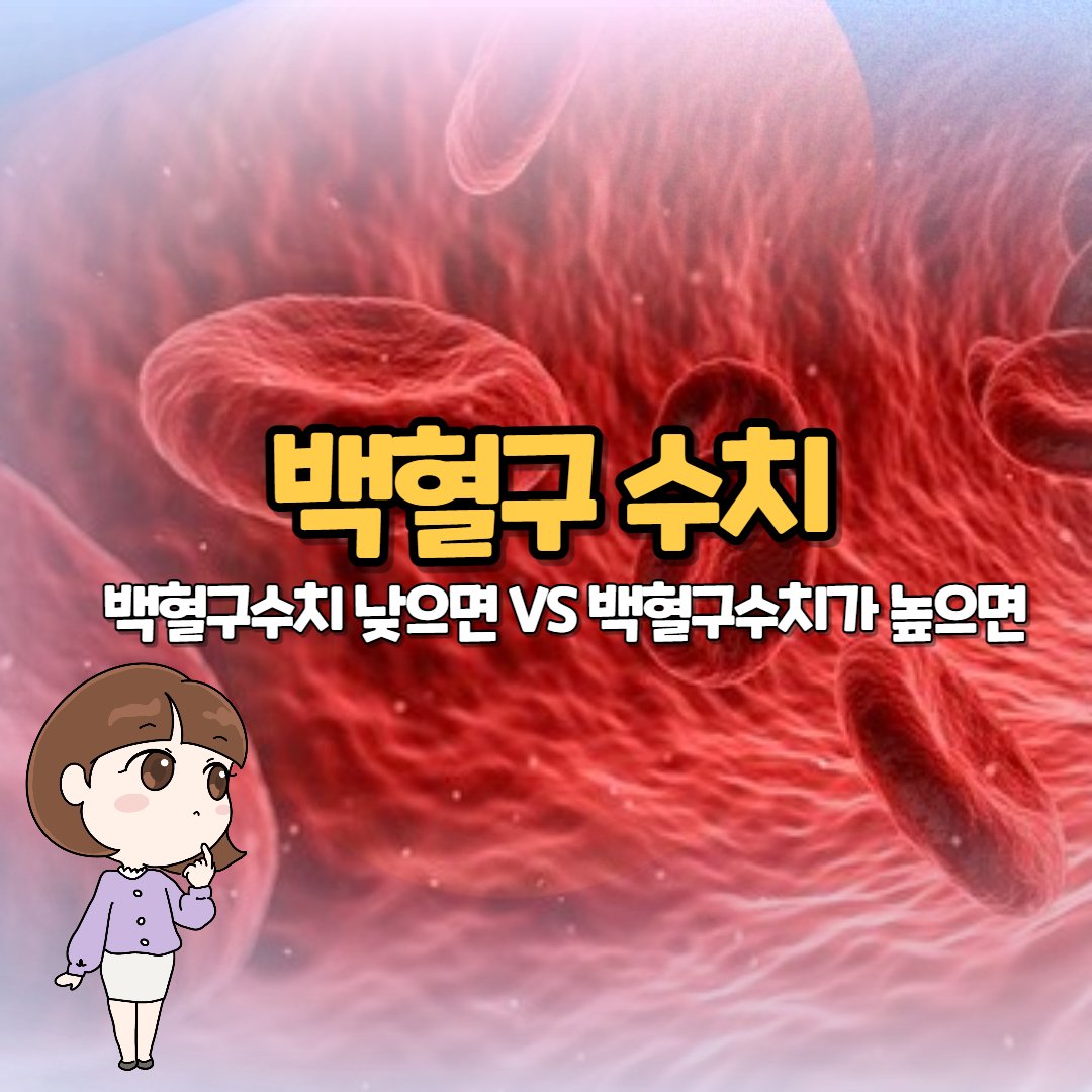 백혈구수치 낮으면 Vs 백혈구수치가 높으면 : 정상수치 : 네이버 포스트