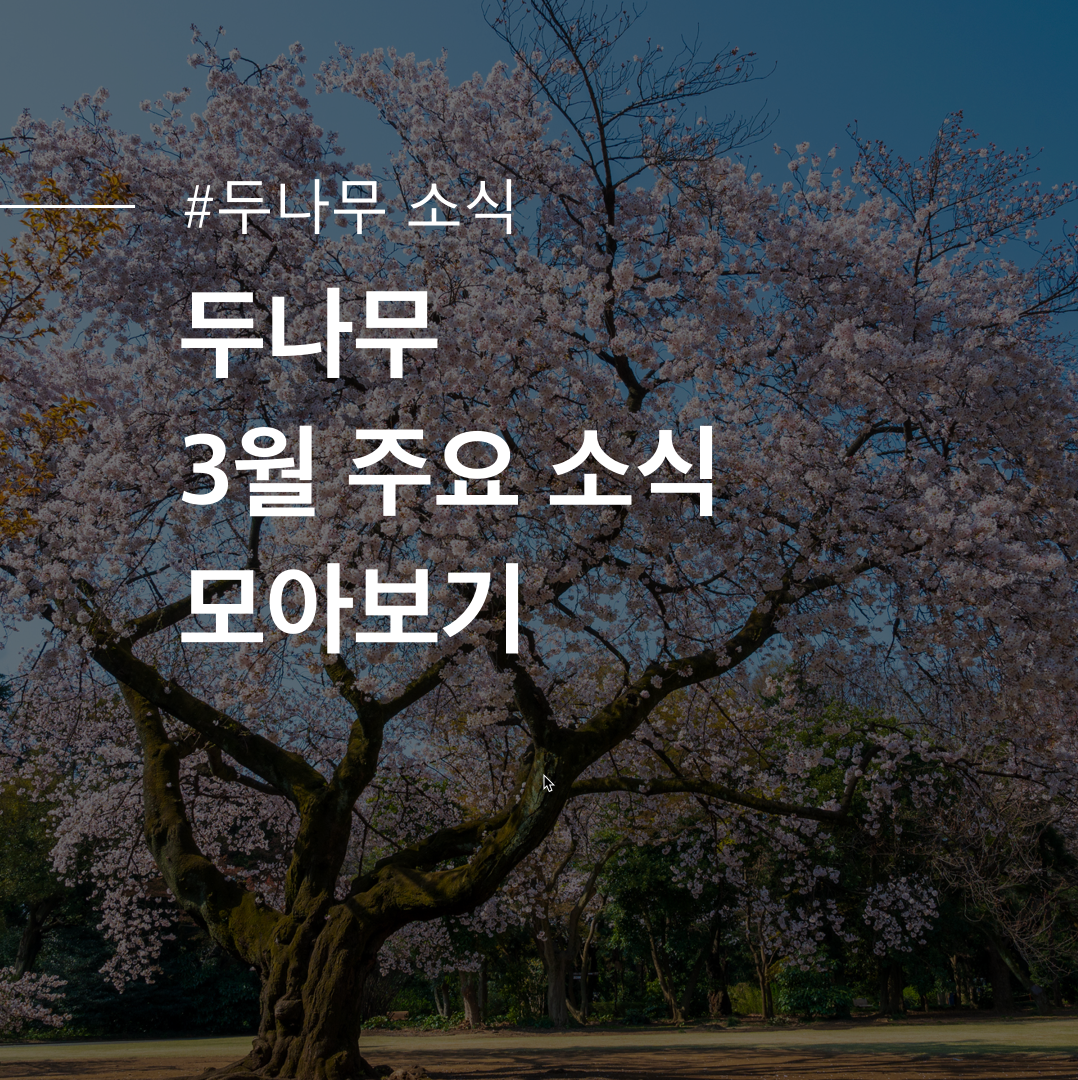 [두나무 소식] 두나무 3월 주요 소식 모아보기 