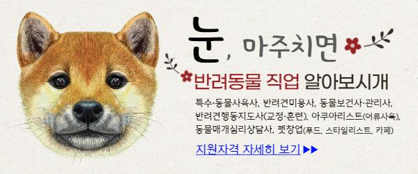 동물사육사가 되고 싶다면? -Q&A : 네이버 포스트 동물사육사가 되고 싶다면? -Q&A : 네이버 포스트