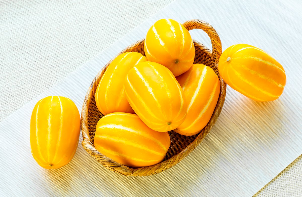강아지 참외 먹어도 괜찮을까 궁금하다면 꼭 읽어보세요. : 네이버 포스트