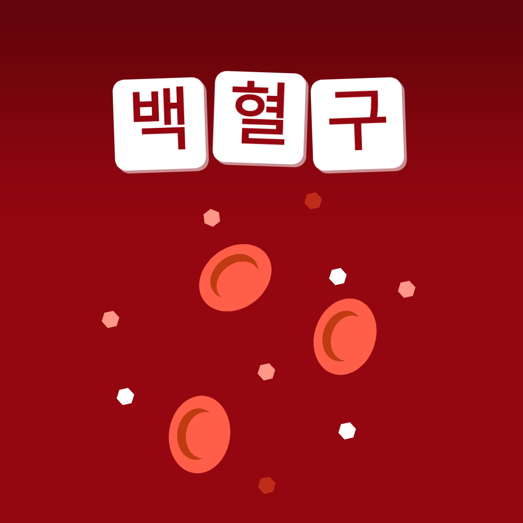 Wbc 백혈구 정상수치 : 백혈구수치 낮으면·백혈구수치가높으면 이렇다? : 네이버 포스트