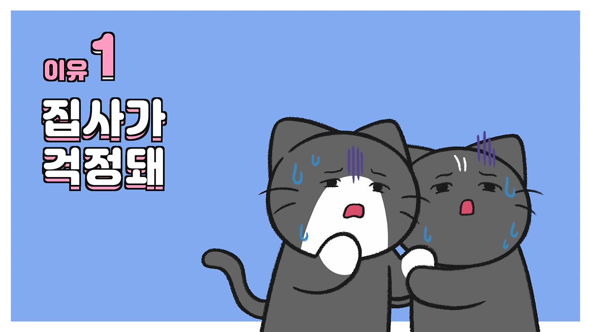 고양이가 집사를 졸졸 따라다니는 이유 5가지