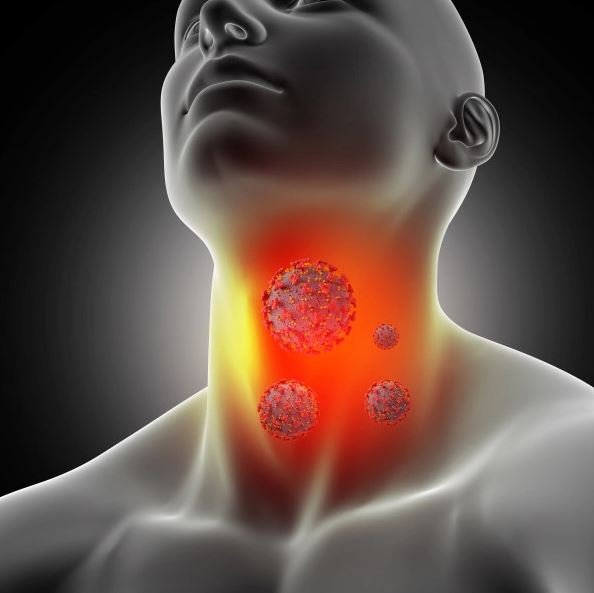 목감기 빨리 낫는 방법 : 목감기 증상 : 목감기 초기 증상 ㅣ 재첩 10